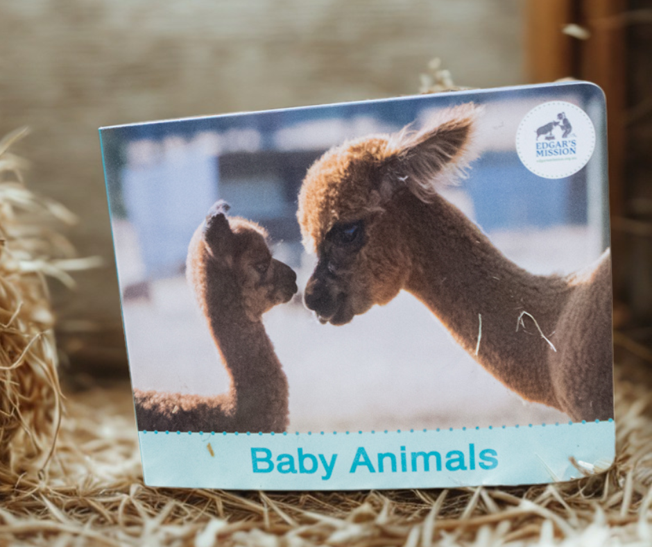 Children’s farm animal book supporting Edgar’s Mission sanctuary, celebrating new life on the farm.